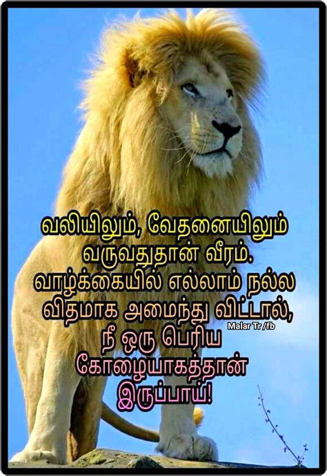We have tried our level best to provide only the best status in tamil. Pin by Malar Tr on Quotes in Tamil | Positive quotes ...