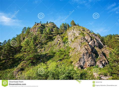 Mountains Overgrown With Pine Trees Mountain Altai Southern Si Stock