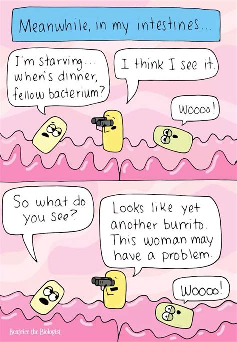 Too Many Burritos Science Humor Chemistry Biology Humor Science Jokes