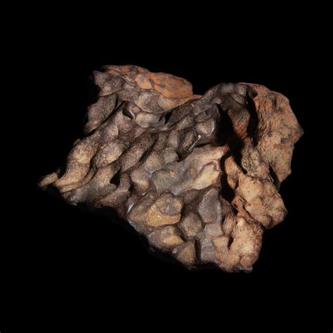 A Spectacular Henbury Meteorite Iron Medium Octahedrite Iiiab