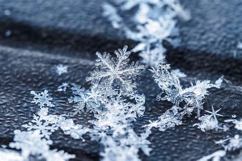 Did You Know The Largest Snowflake Ever Recorded Was 15 Inches Wide