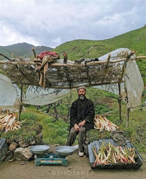 Afghan 🇦🇫 In 2022 Afghanistan Afghan Outdoor Decor