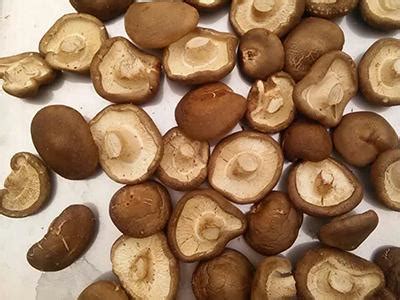 Order the perfect dried & preserved flowers to send in melbourne for same day delivery. 500kg Industrial Lyophilization Freeze Dryer | Industrial ...