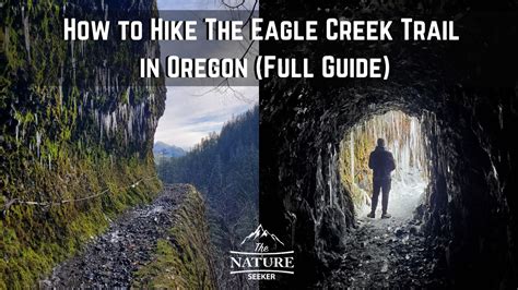 How To Hike The Eagle Creek Trail In Oregon Full Guide