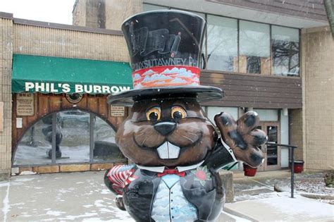 What time does punxsutawney phil come out? How old is Punxsutawney Phil? Age of the groundhog exposed ...