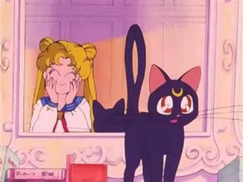 Buy sailor moon stuff on amazon. Sailor Moon - Episode 1 VF | Sailor moon cat, Sailor ...