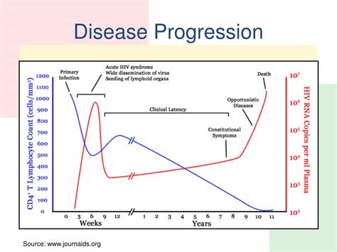 Ppt The Basics Of Hivaids Powerpoint Presentation Free Download
