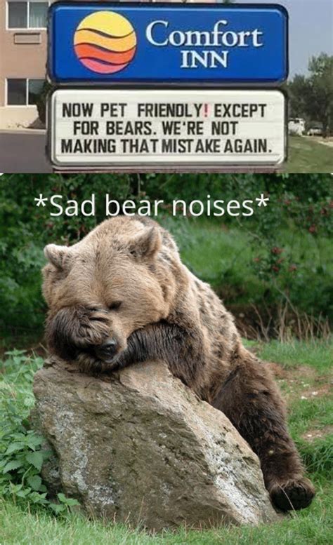 Sad Bear Noises Rfunnysigns