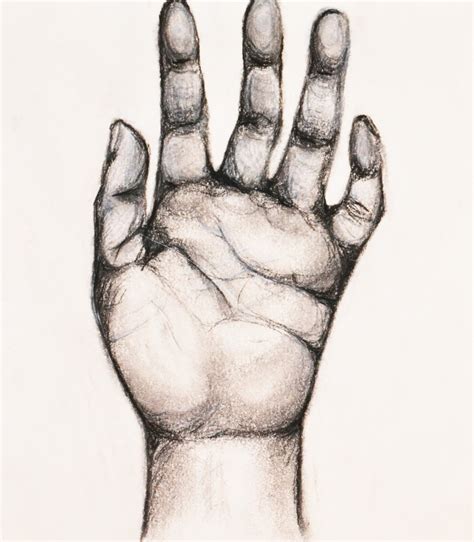 Check spelling or type a new query. Reaching Hand Drawing at GetDrawings | Free download