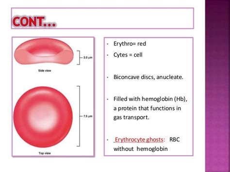 Resealed Erythrocytes