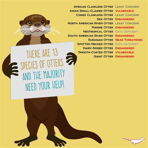 Bearizona On Twitter Its International Otter Awareness Day Help Out