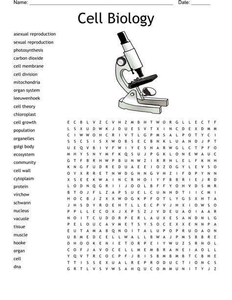 Cell Biology Word Search Wordmint