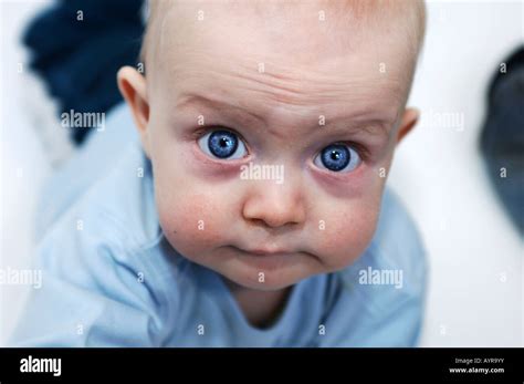Six Month Baby Hi Res Stock Photography And Images Alamy