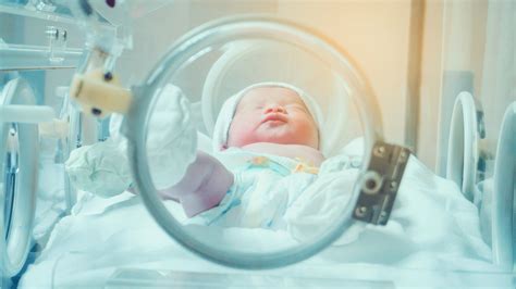 Premature Birth Causes And Symptoms Programming Insider