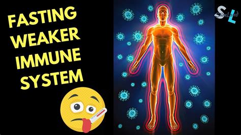 See, in order for your immune system to be strong, your gut has to be healthy. Can Fasting Weaken Your Immune System - YouTube