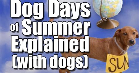 Dog Days Of Summer Explained With Actual Dogs