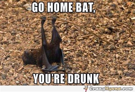 Its National Bat Day Batty Info And Memes Nerd News Social