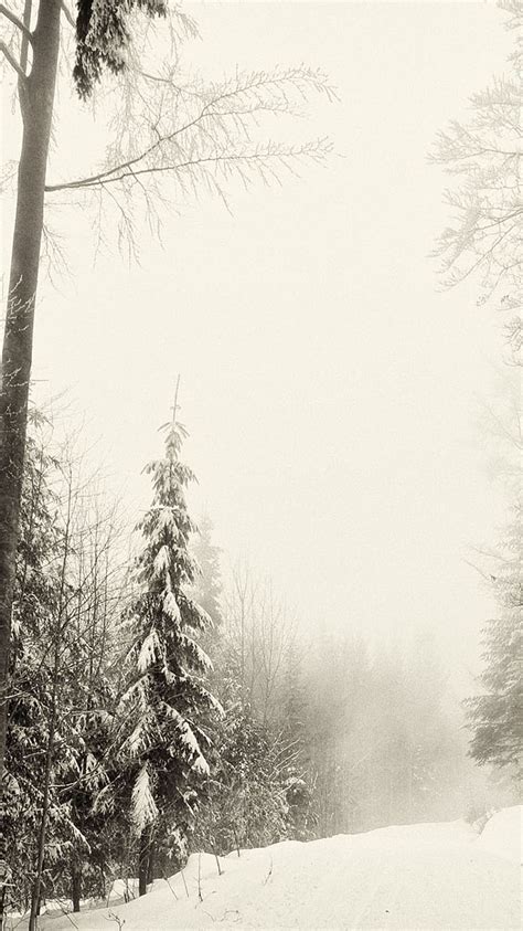 Snow Fog Hd Phone Wallpaper Peakpx