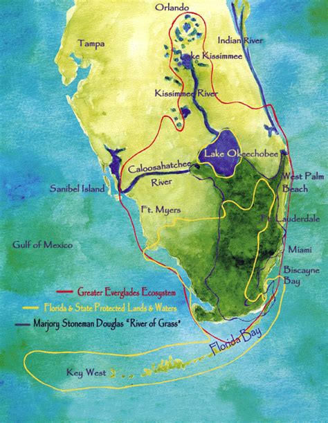 Awesome Things To Do In The Everglades Floridas River Of Grass