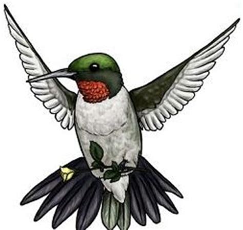 Free Hummingbird Clipart Pictures - Clipartix