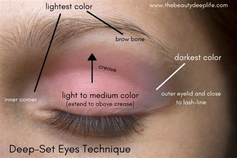 Eye Makeup 101 Tips For Eyeshadow Application Plus How To Apply Like A