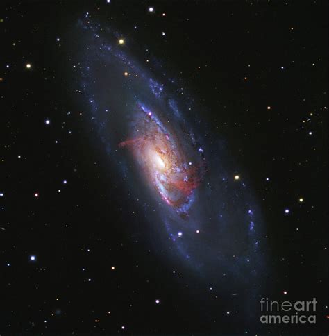 Spiral Galaxy M106 Photograph By Robert Gendlerscience Photo Library