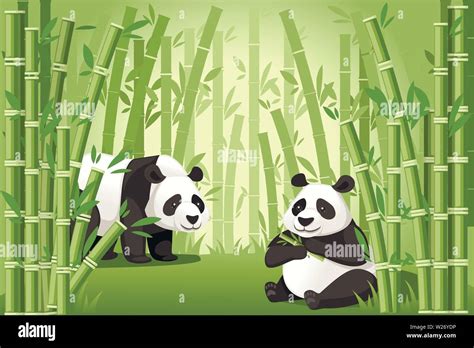 Bamboo Trees Asian Forest Landscape With Two Cute Big Panda One Of Them