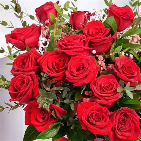 Online Passionate 18 Roses Arrangement T Delivery In Uae Fnp