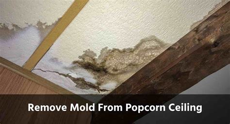 How To Remove Mold From Popcorn Ceiling Definitive Guide Mr