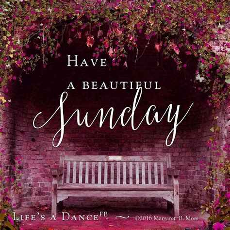 Happy Sunday Enjoy Your Day Of Rest Have A Beautiful Sunday Sunday