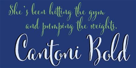 Wedding script fonts script fonts folder document doc paper file refresh cl rise folder hyperion red aire um colorflow 10 filetype muku style pleasant yellow simple vista love files type font folder summer collection icons black summer collection jbjb profesional red car purple graphite. Hand Painted Wood Signs Using My Cantoni Font - Paperblog