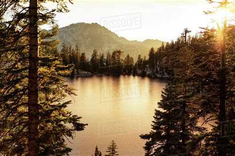 Scenic View Of Lake Surrounded By Trees During Sunset Stock Photo