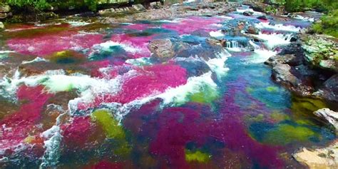 This Rainbow River In Colombia Has Been Labelled The Most Beautiful In