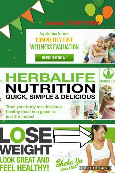 pin by yestowellness india on nutrition herbalife nutrition herbalife herbalife 24