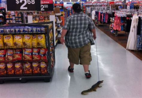 What Else Would You Put On A Leash People Of Walmart Meanwhile In