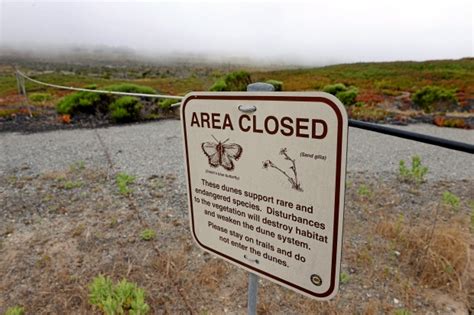 Fort Ord Dunes State Park Camping Facility Application Comes Before