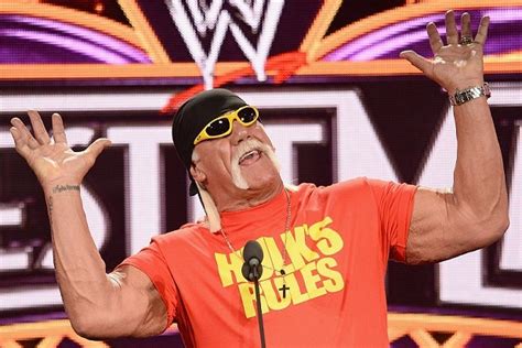 Hulk Hogan Wins 115 Million In Gawker Sex Tape Lawsuit Thewrap
