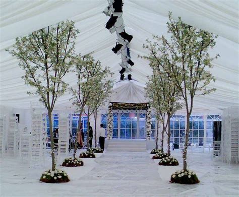 Palmbrokers Parties And Events Portfolio Wedding Blossom Trees Tree