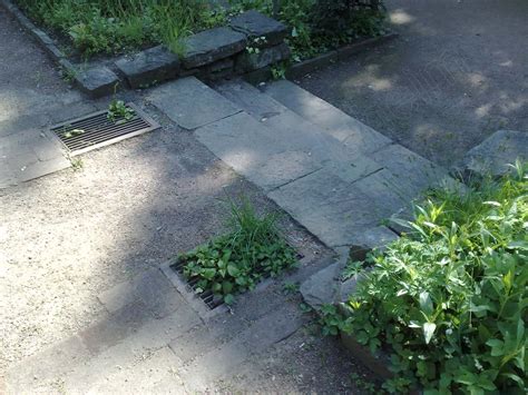 Check spelling or type a new query. Botanischer Garten Duissern, Duisburg. | Vegetation daheim