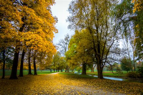 Munich, walk in Englischer Garten by alierturk on DeviantArt