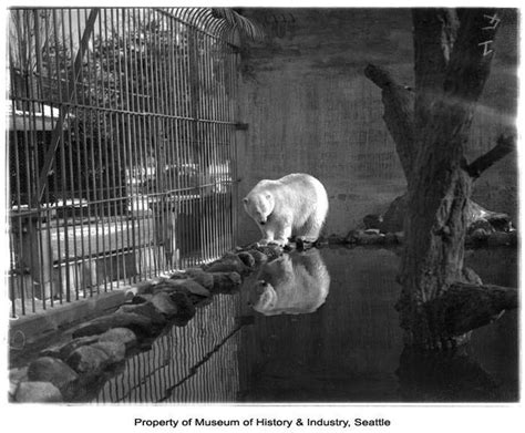 Woodland Park Zoo The Early Years