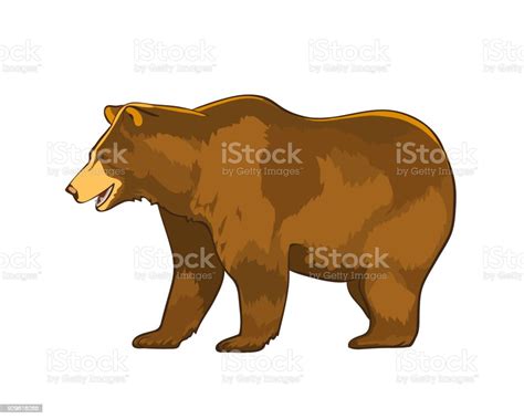 Ilustración De Color Ilustración Del Oso Que Grizzly Aislado Sobre