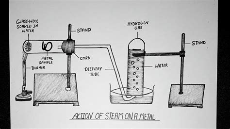 Diagram Of Action Of Steam On A Metal || Diagram || Class 10 || Labelled Diagram - YouTube