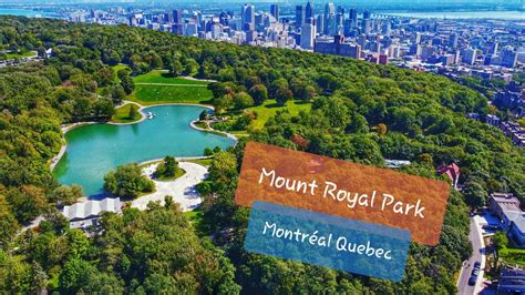 Mount Royal Park Montreal Quebec Canada 🇨🇦 Youtube