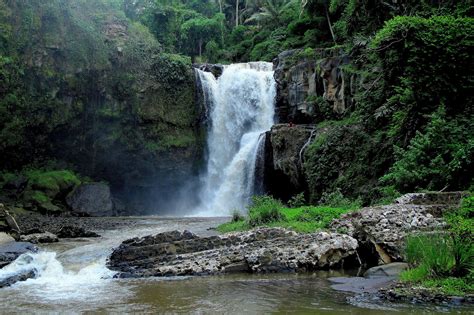 Rock Cliff Waterfall Waterfalls Cliffs Jungle River Forest