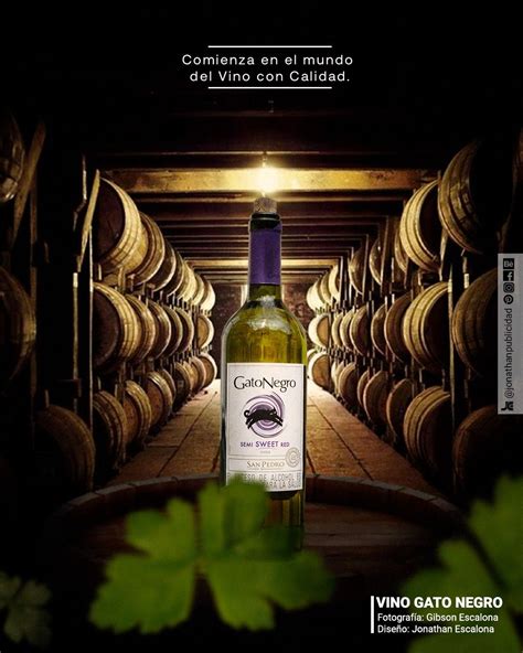 Publicidad Vino Gato Negro Wine Advertising Food Design Graphic