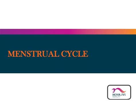 Ppt Menstrual Cycle Powerpoint Presentation Free Download Id7564595