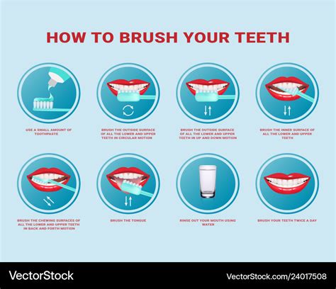 How To Brush Your Teeth Infographic