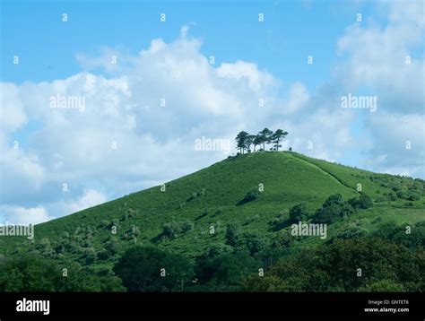 Colmers Hill Symondsbury Bridport Dorset Stock Photo Alamy