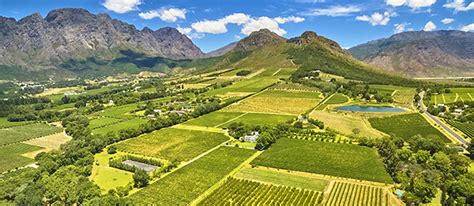 Top 5 Franschhoek Wine Farms An Unforgettable Experience